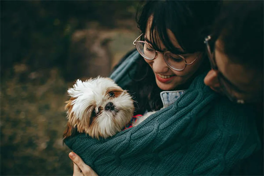 Animali domestici dei presidenti USA: storie incredibili alla Casa Bianca!